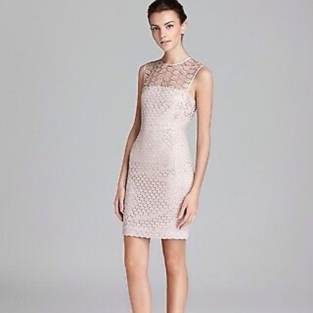 Diane von Furstenberg DVF Kinchu Lace Sheath Dress - Size 4